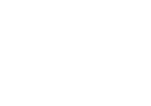 Beto_Carrero-logo-B89D904A91-seeklogo.com_