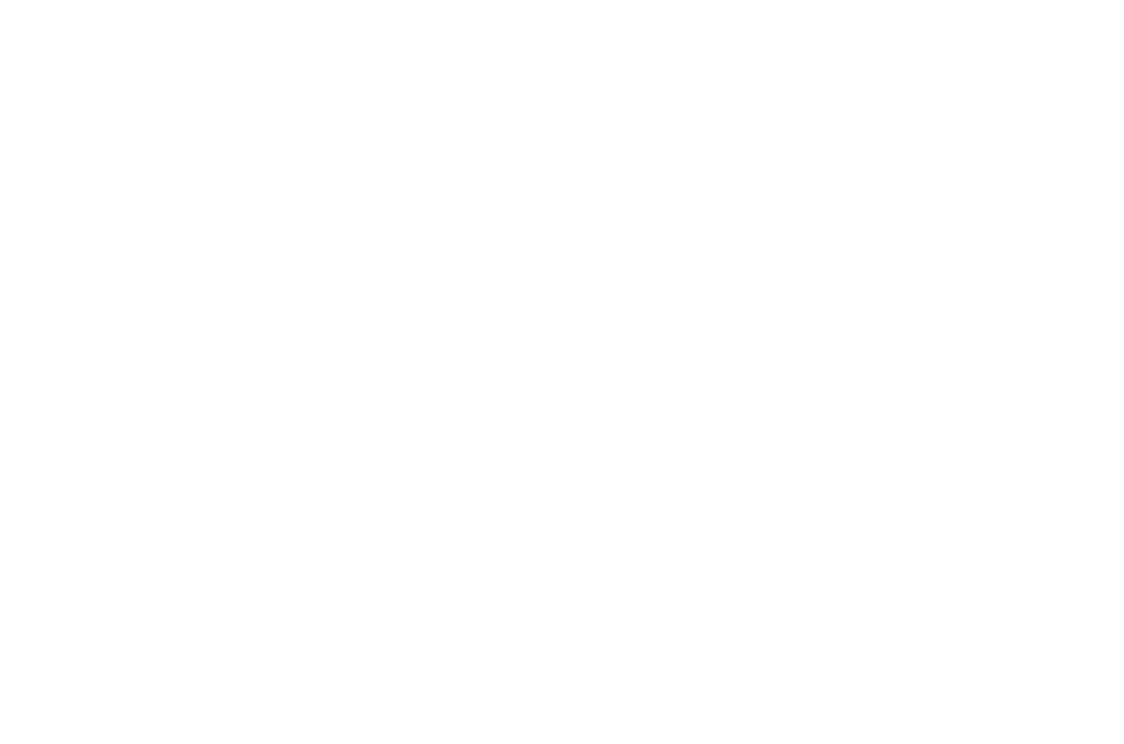 Cópia de Logo Nova Branco (1)
