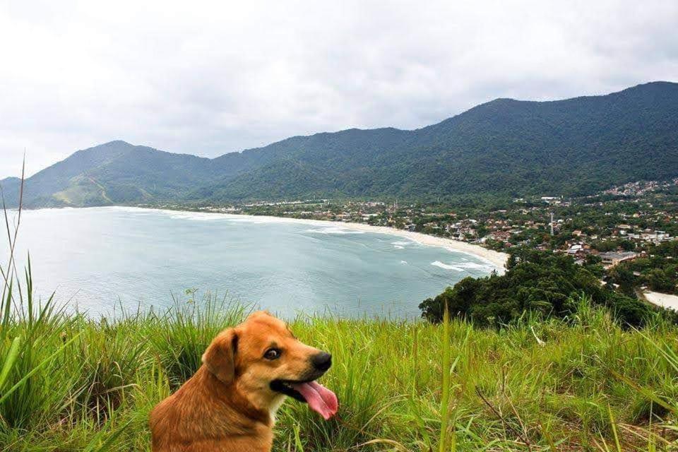 Imagem do WhatsApp de 2025-06-25 à(s) 11.55.20_45133685