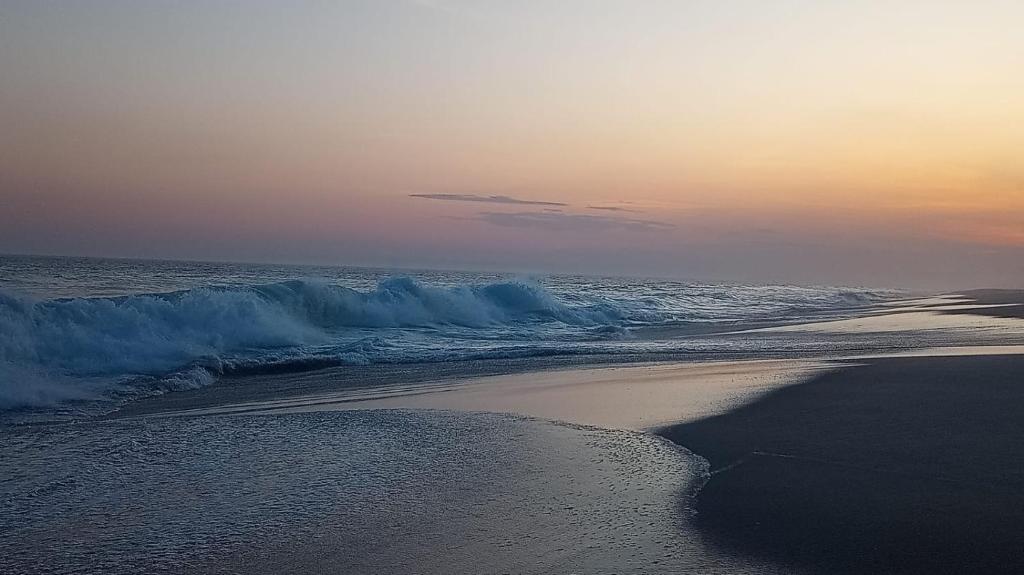 Imagem do WhatsApp de 2025-06-25 à(s) 12.07.46_3da1cadc